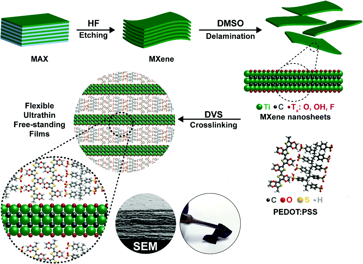 MXene interlayered crosslinked conducting polymer film for highly ...