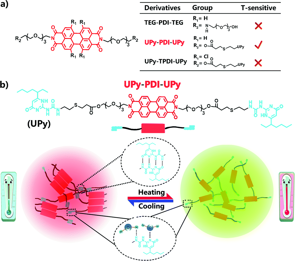 Perylene Diimide Based Supramolecular Polymer With Temperature Sensitive Ratiometric Fluorescence Responsiveness In Solution And Gels Materials Advances Rsc Publishing