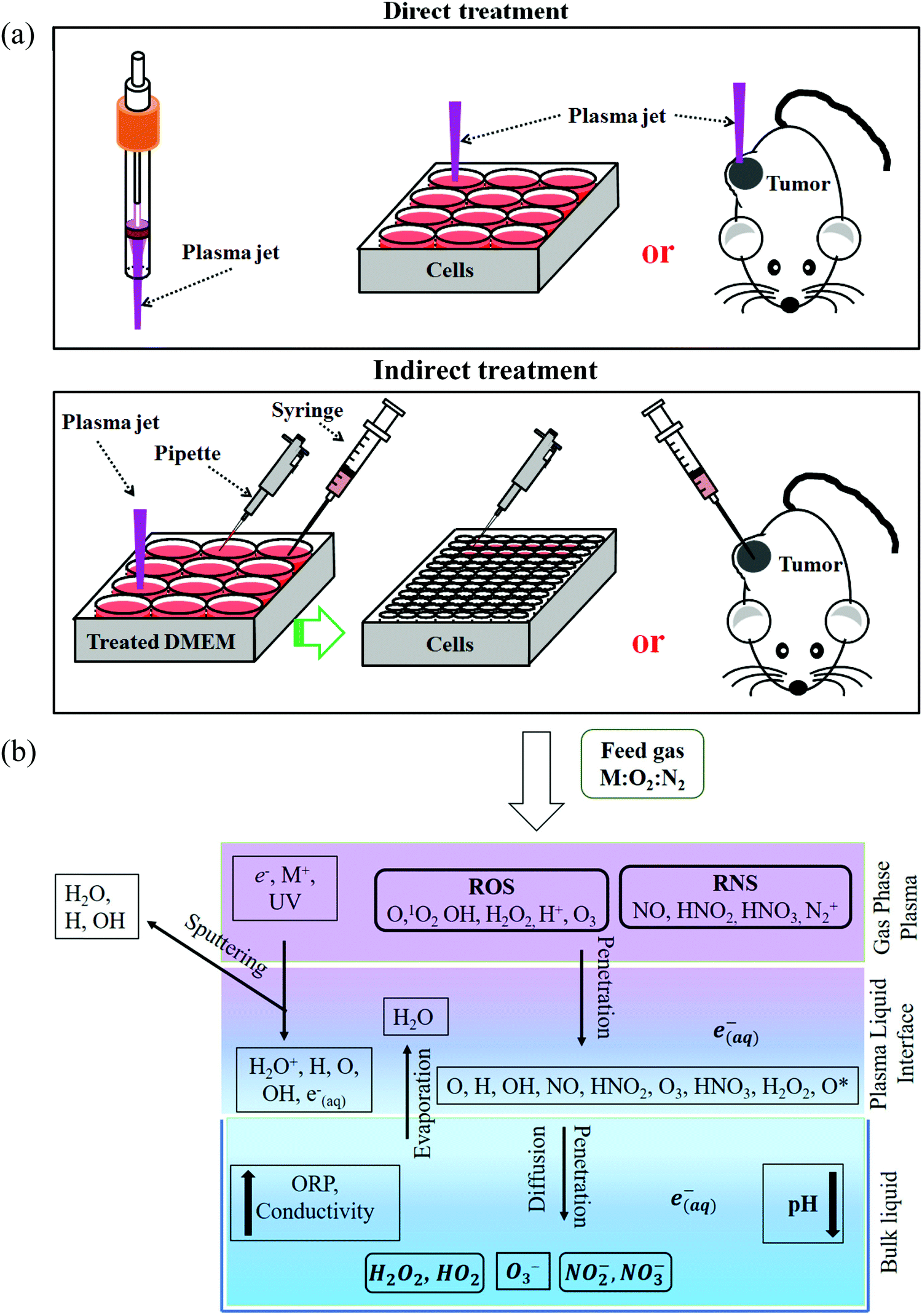 Cold Atmospheric Plasma Cancer Treatment Direct Versus Indirect Approaches Materials Advances Rsc Publishing