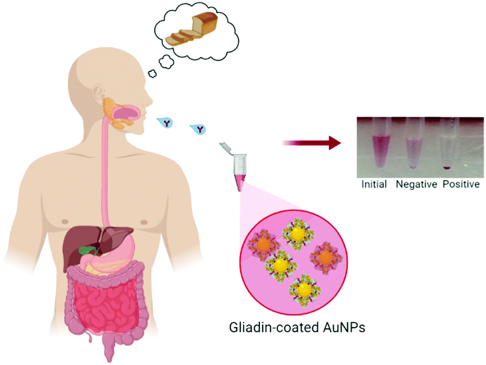 Gliadincoated gold nanoparticles for rapid colorimetric test for