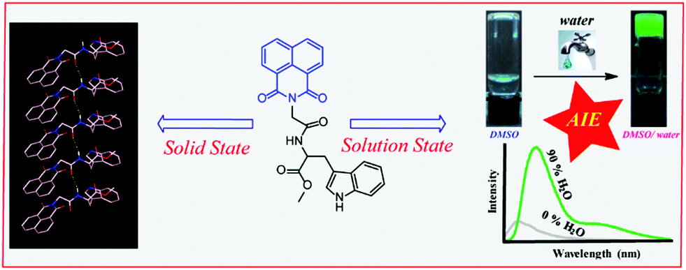 Supramolecular assemblies of a 1,8-naphthalimide conjugate and its ...