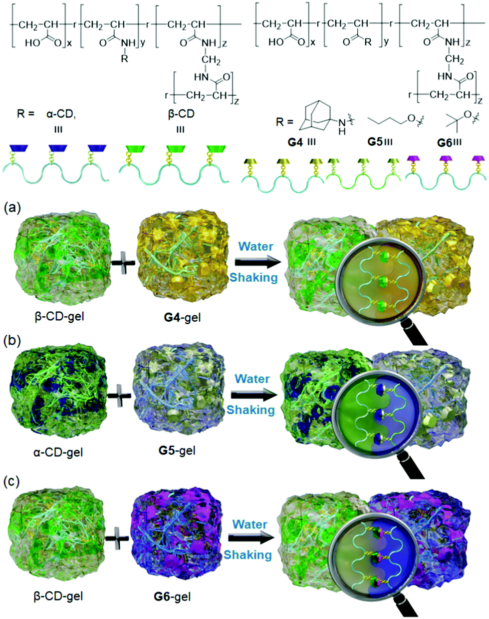 Macrocycles-assisted Polymeric Self-assemblies Fabricated By Host–guest ...