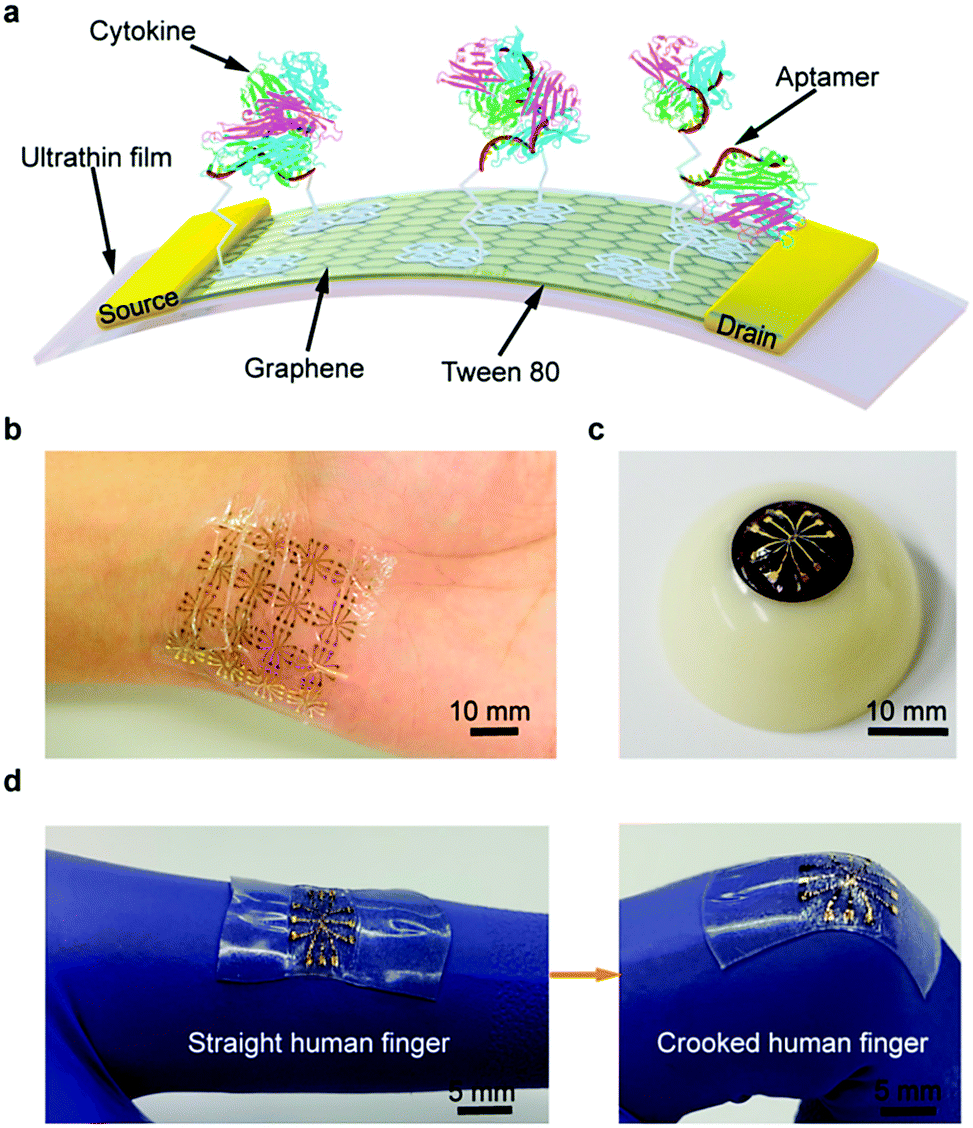 Nano and biosensors for the detection of SARSCoV2 challenges and