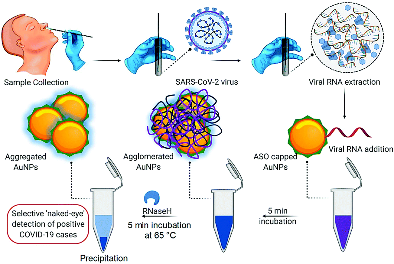 Вирус sars cov 2 относят. Вирус SARS-cov-2. Выявление РНК SARS-cov-2. SARS cov 2 лечение. Plasmonic Nanoparticles.