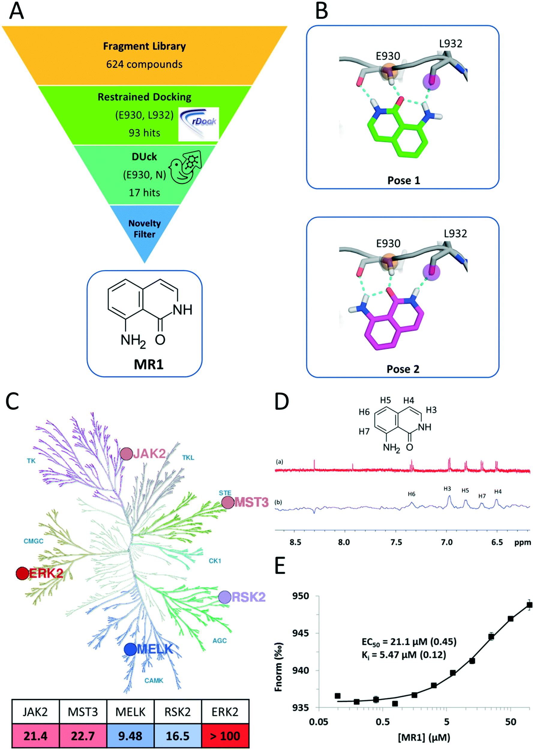 Discovery of a novel kinase hinge binder fragment by dynamic undocking