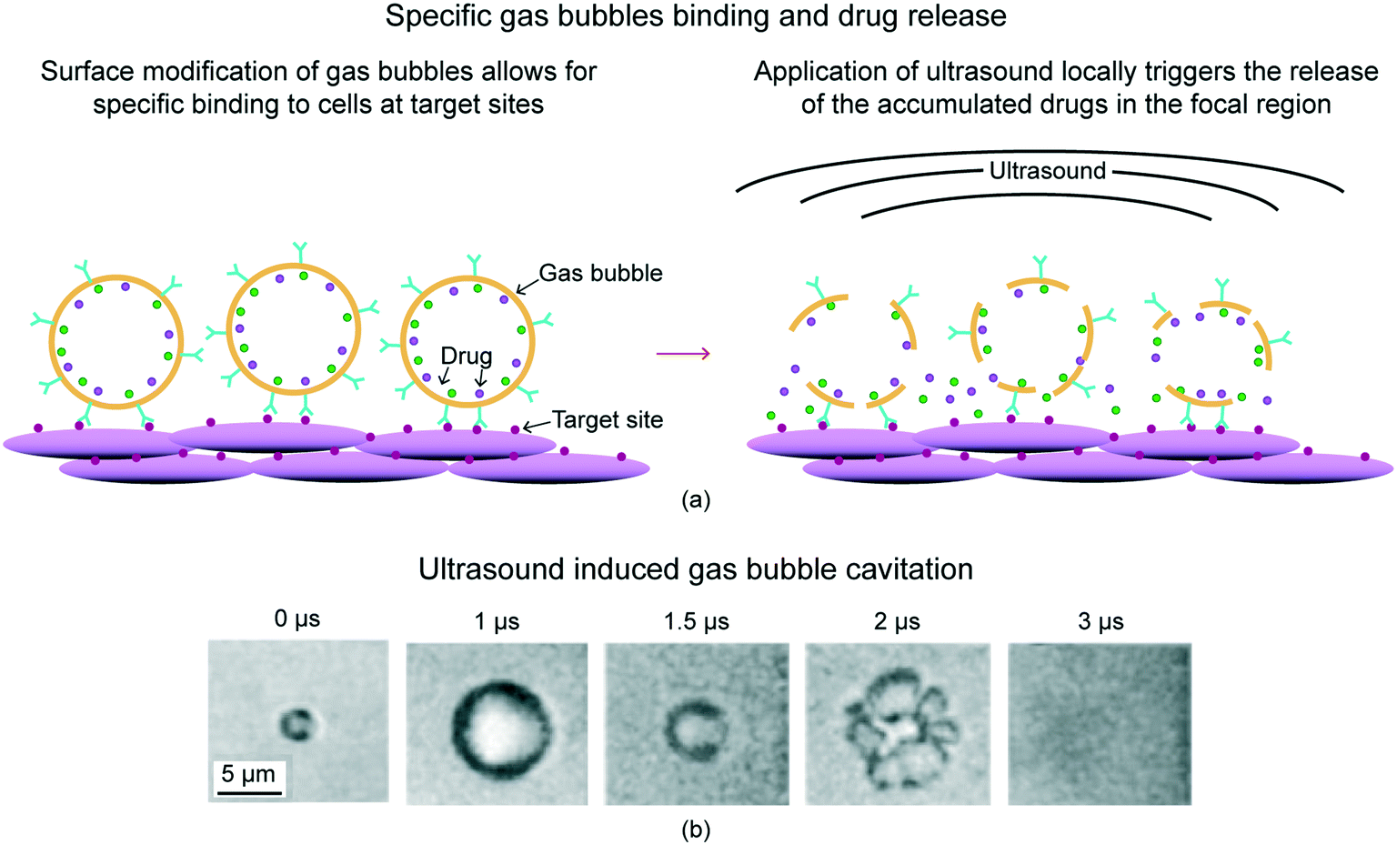 Bioinspired Movement Of Gas Bubbles Composition Applications Generation Contact Angle And Movement An Overview Molecular Systems Design Engineering Rsc Publishing