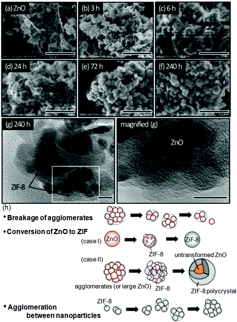 Mechanochemical Synthesis Of Highly Porous Materials Materials Horizons Rsc Publishing