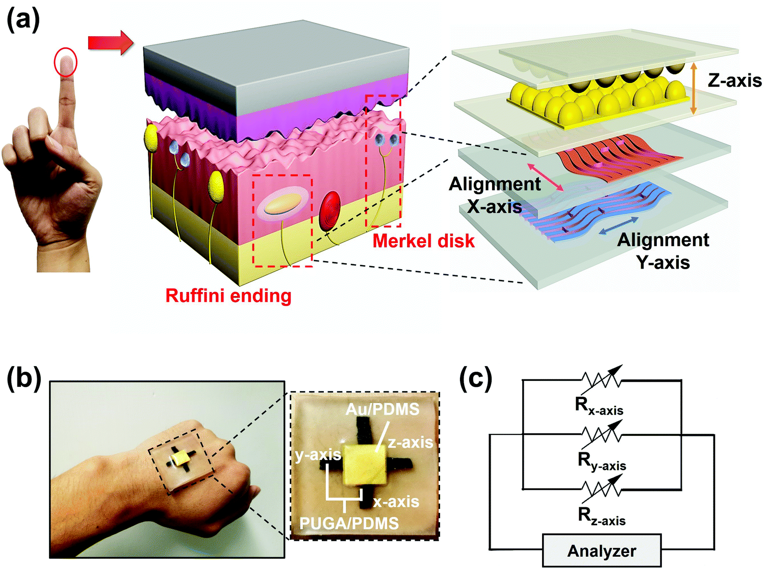 Human Skin Inspired Integrated Multidimensional Sensors Based On Highly Anisotropic Structures Materials Horizons Rsc Publishing