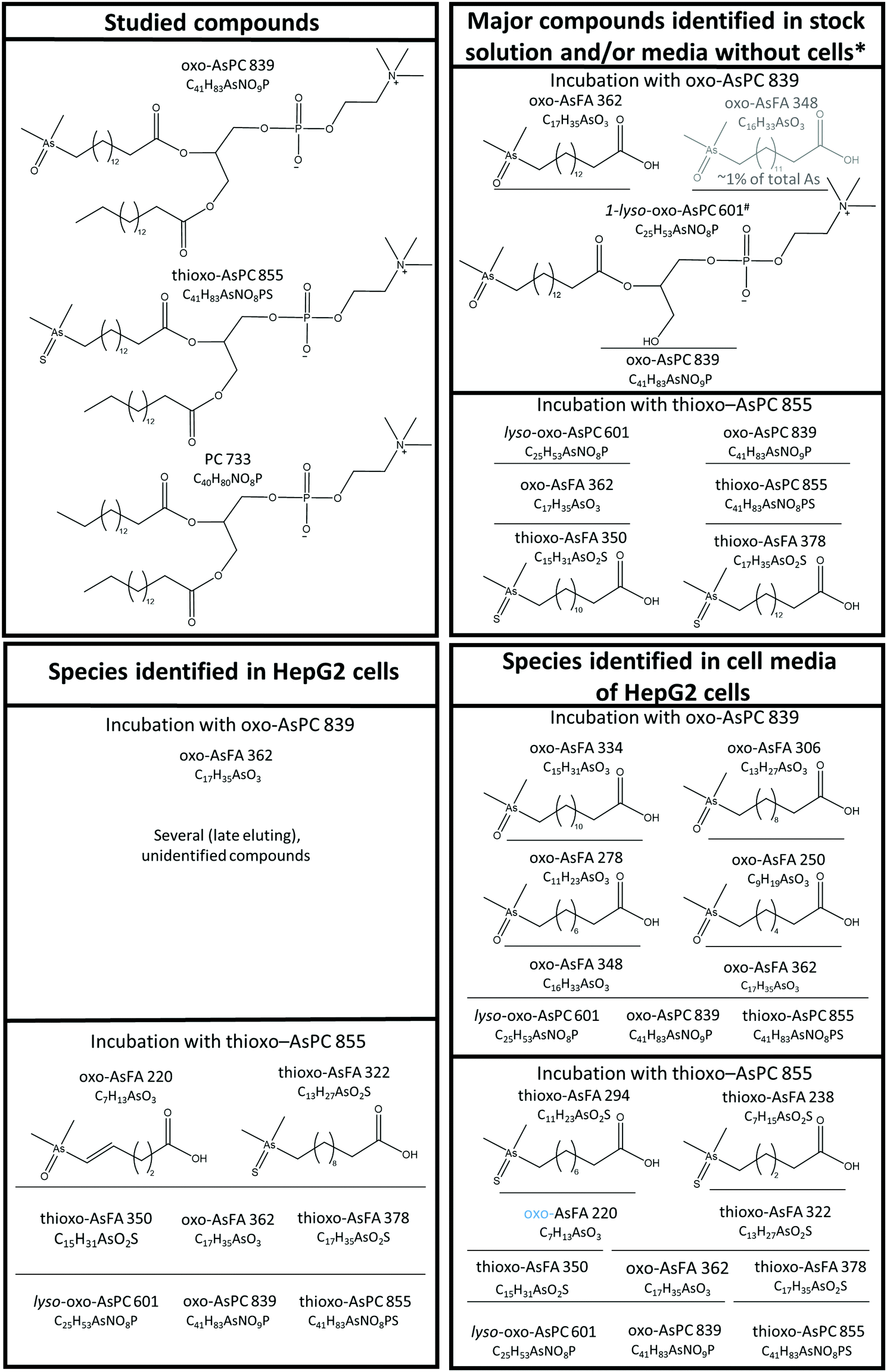 Toxicological Assessment Of Arsenic Containing Phosphatidylcholines In Hepg2 Cells Metallomics Rsc Publishing