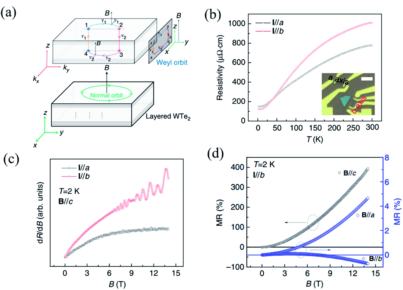 In Plane Anisotropic Electronics Based On Low Symmetry 2d Materials Progress And Prospects Nanoscale Advances Rsc Publishing