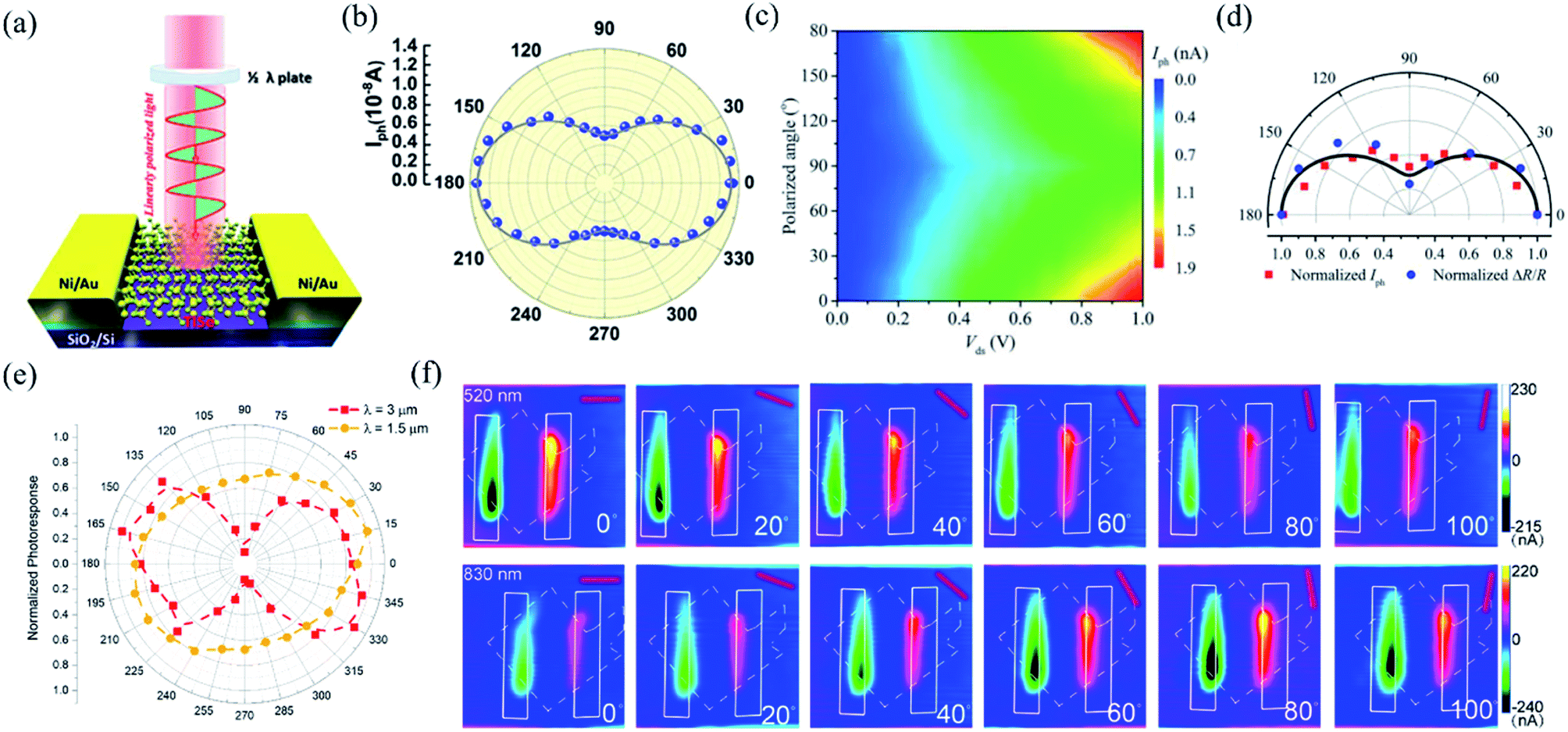 In Plane Anisotropic Electronics Based On Low Symmetry 2d Materials Progress And Prospects Nanoscale Advances Rsc Publishing