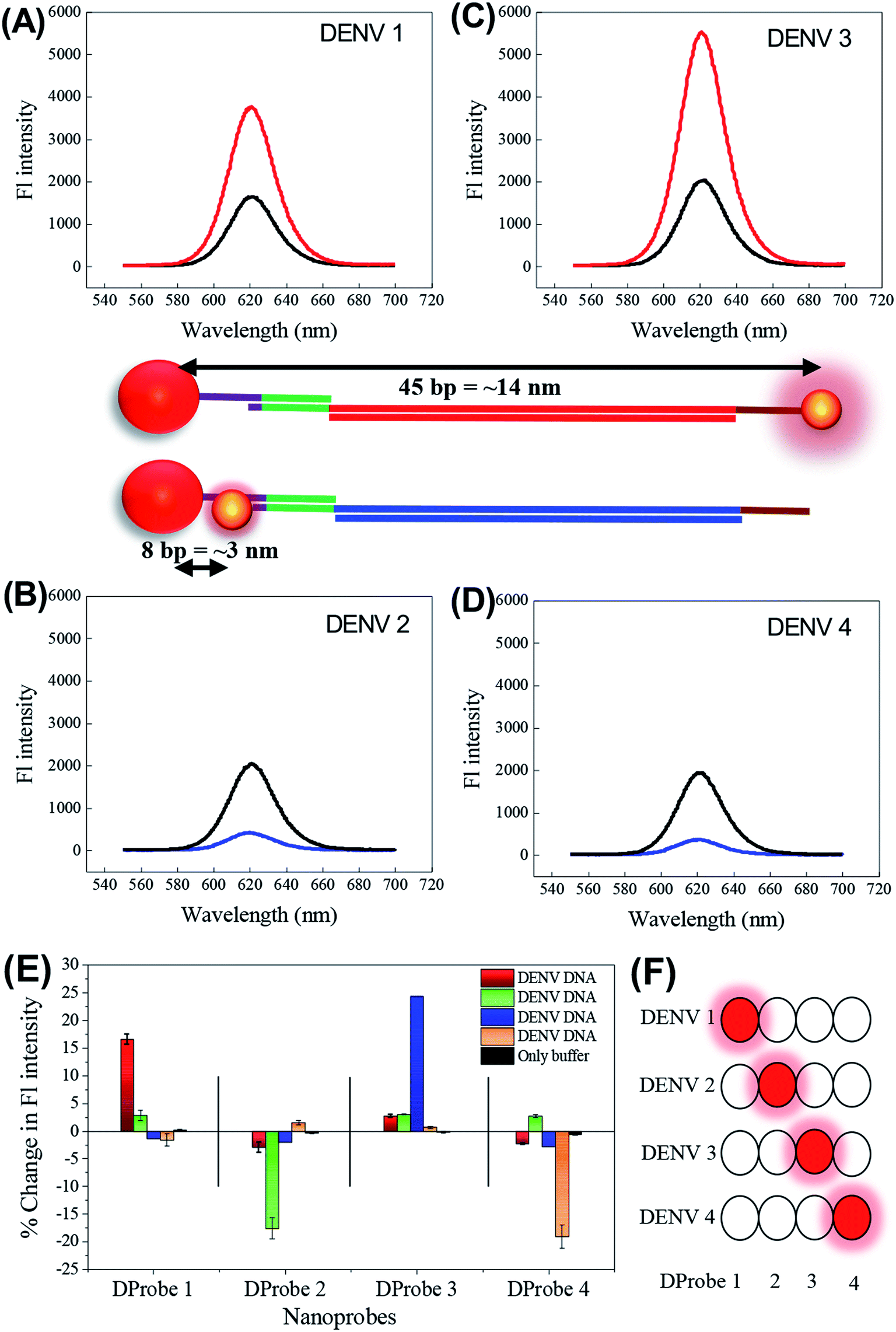 The Detection And Identification Of Dengue Virus Serotypes With Quantum ...