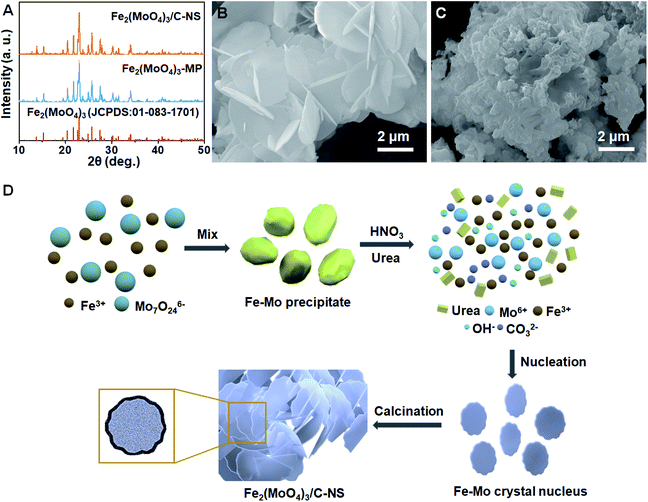 The rational design of carbon coated Fe 2 (MoO 4 ) 3 nanosheets for ...