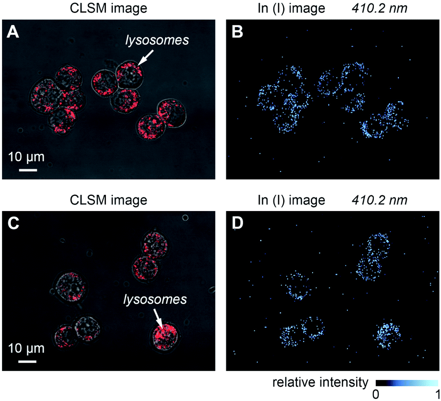 Nanoscale Laser-induced Breakdown Spectroscopy Imaging Reveals Chemical ...