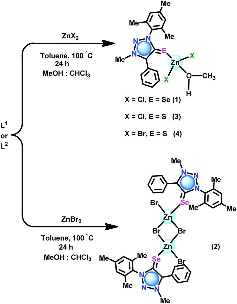 Highly Active Mesoionic Chalcogenone Zinc Ii Derivatives For C S Cross Coupling Reactions New Journal Of Chemistry Rsc Publishing