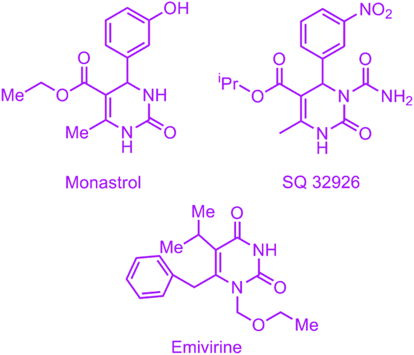 Phenothiazine And Amide Ornamented Novel Nitrogen Heterocyclic Hybrids Synthesis Biological And Molecular Docking Studies New Journal Of Chemistry Rsc Publishing