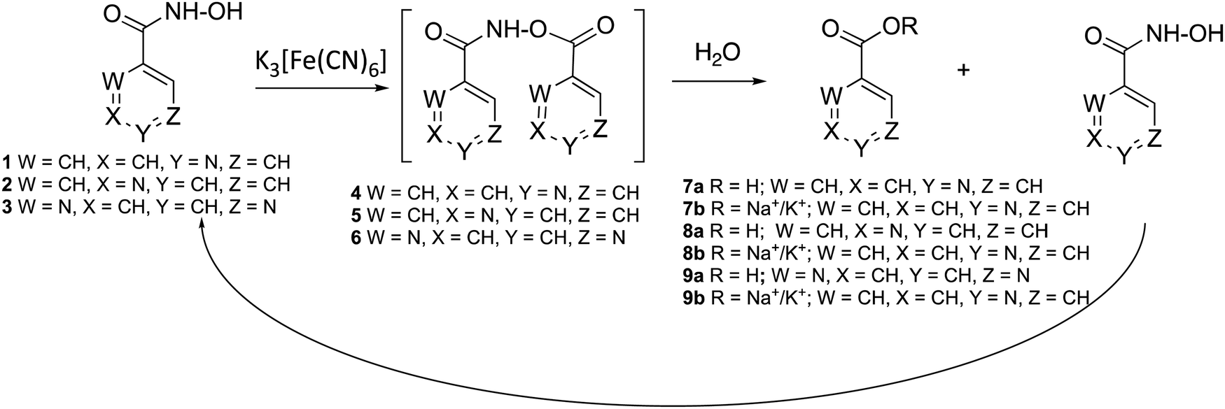 Mechanistic Insights Into The In Vitro Metal Promoted Oxidation Of Di Azine Hydroxamic Acids Evidence Of Hno Release And N O Di Di Azinoyl Hydroxylamine Intermediate New Journal Of Chemistry Rsc Publishing