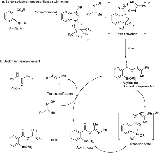 Beckmann rearrangement catalysis: a review of recent advances - New Journal  of Chemistry (RSC Publishing)