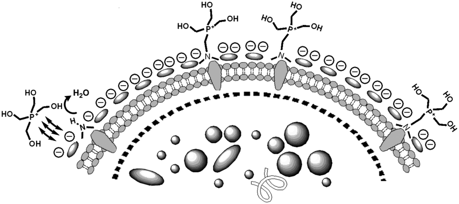 Synthesis Structural And Toxicological Investigations Of Quarternary Phosphonium Salts Containing The P Bonded Bioisosteric Ch2f Moiety New Journal Of Chemistry Rsc Publishing