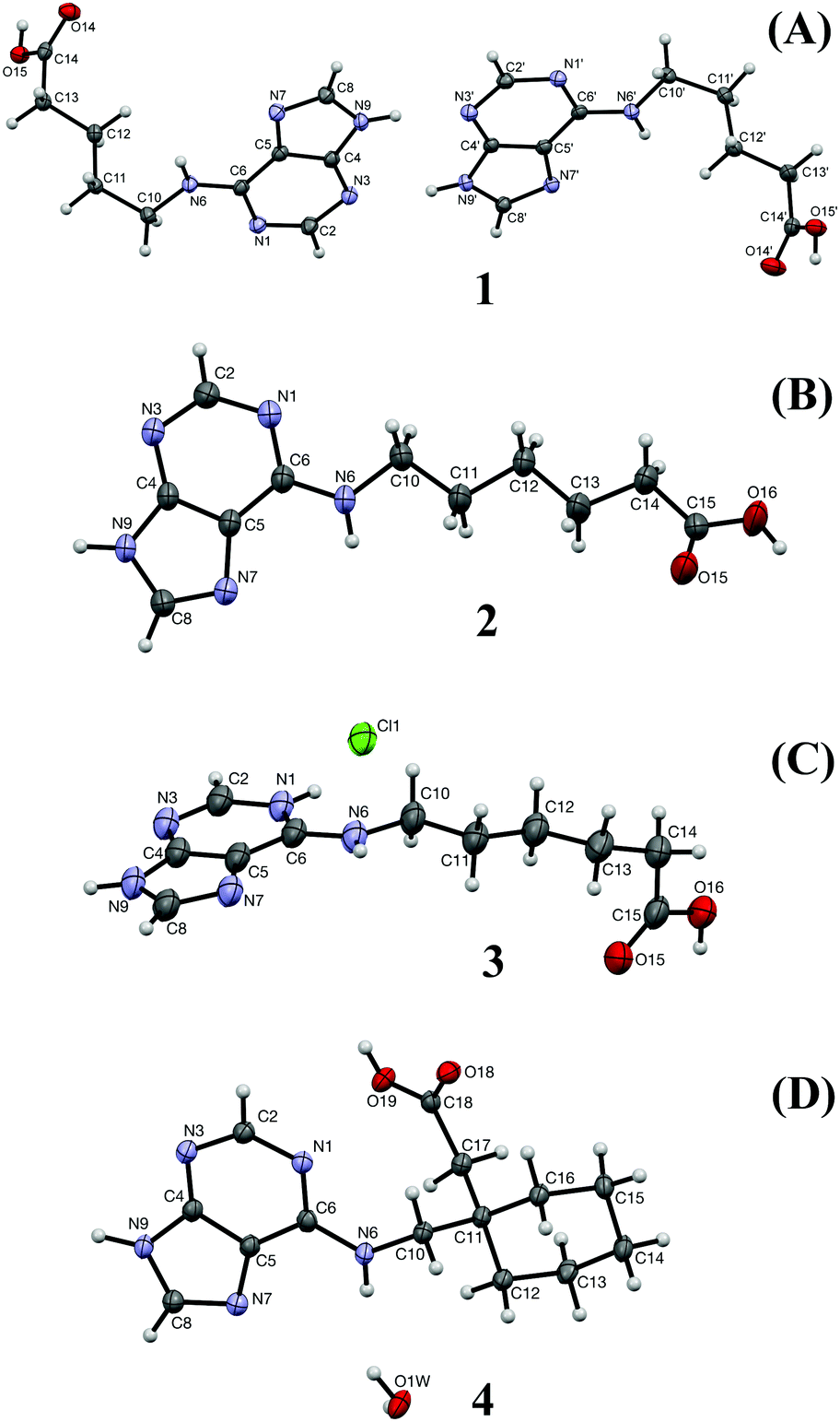Crystal Structures Of N6 Modified Amino Acid Nucleobase Analogs Iii Adenine Valeric Acid Adenine Hexanoic Acid And Adenine Gabapentine New Journal Of Chemistry Rsc Publishing