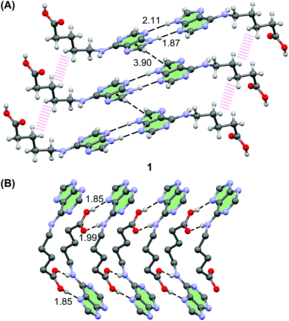 Crystal Structures Of N6 Modified Amino Acid Nucleobase Analogs Iii Adenine Valeric Acid Adenine Hexanoic Acid And Adenine Gabapentine New Journal Of Chemistry Rsc Publishing