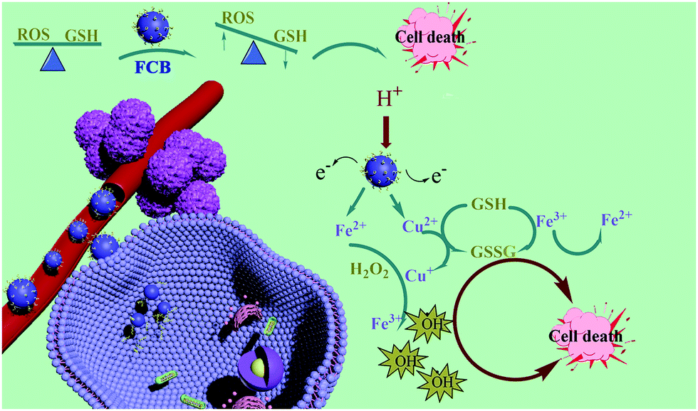 Nano Iron Copper Alloys For Tumor Ablation Efficiently Amplified Oxidative Stress Through Acid Response New Journal Of Chemistry Rsc Publishing