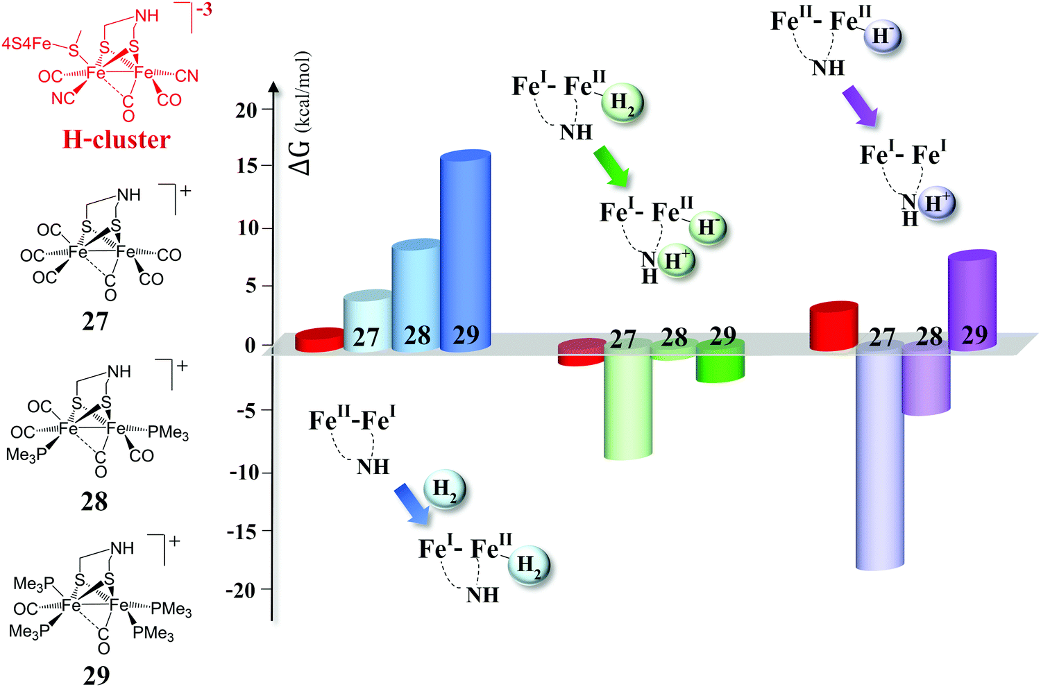 Catalytic H2 Evolution Oxidation In Fefe Hydrogenase Biomimetics Account From Dft On The Interplay Of Related Issues And Proposed Solutions New Journal Of Chemistry Rsc Publishing