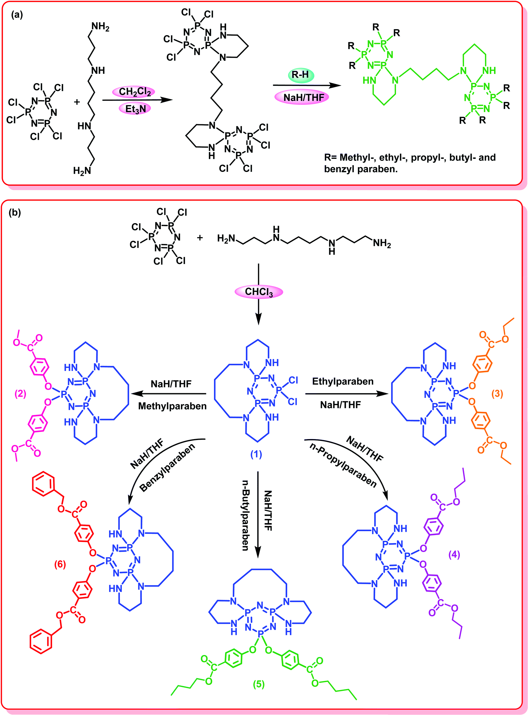 Novel Paraben Derivatives Of Tetracyclic Spermine Cyclotriphosphazenes Synthesis Characterization And Biosensor Based Dna Interaction Analysis New Journal Of Chemistry Rsc Publishing