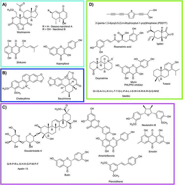 The Role Of Natural Products In Revealing Nrf2 Function Natural Product Reports Rsc Publishing