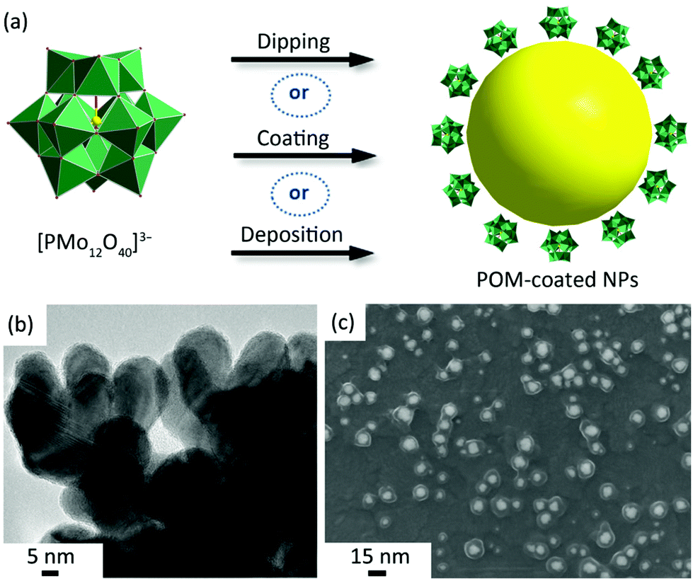 Polyoxometalate Based Composite Materials In Electrochemistry State Of The Art Progress And Future Outlook Nanoscale Rsc Publishing