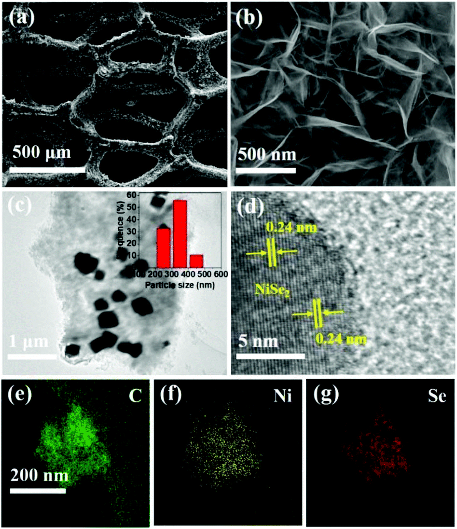 Nise2 Anchored N S Doped Graphene Ni Foam As A Free Standing Bifunctional Electrocatalyst For Efficient Water Splitting Nanoscale Rsc Publishing
