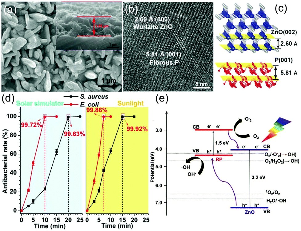 Elemental Red Phosphorus Based Materials For Photocatalytic Water Purification And Hydrogen Production Nanoscale Rsc Publishing