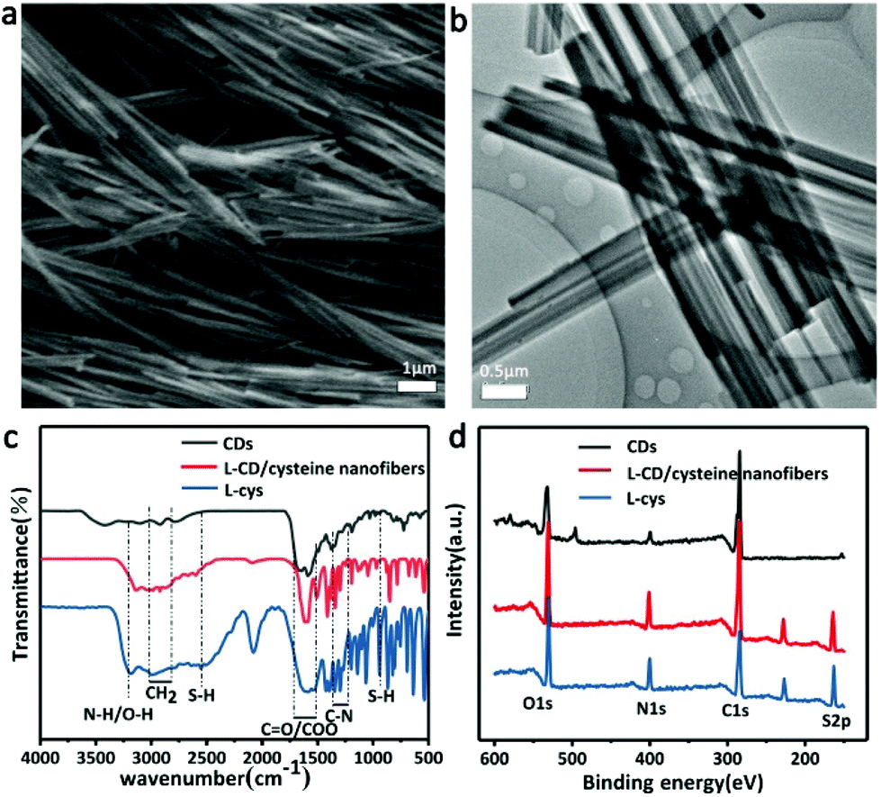 Facile Formation Of Chiral Nanofibers With Excellent Electrochemical Performance Via Self Assembly Of Carbon Dots And Cysteine Molecules Nanoscale Rsc Publishing