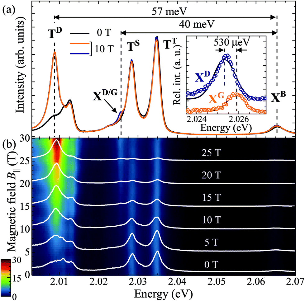 Neutral And Charged Dark Excitons In Monolayer Ws2 Nanoscale Rsc Publishing