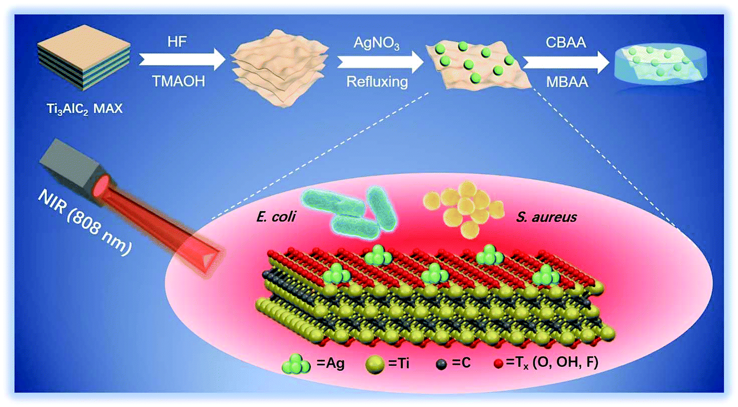 A Near Infrared Light Mediated Antimicrobial Based On Ag Ti3c2tx For Effective Synergetic Antibacterial Applications Nanoscale Rsc Publishing