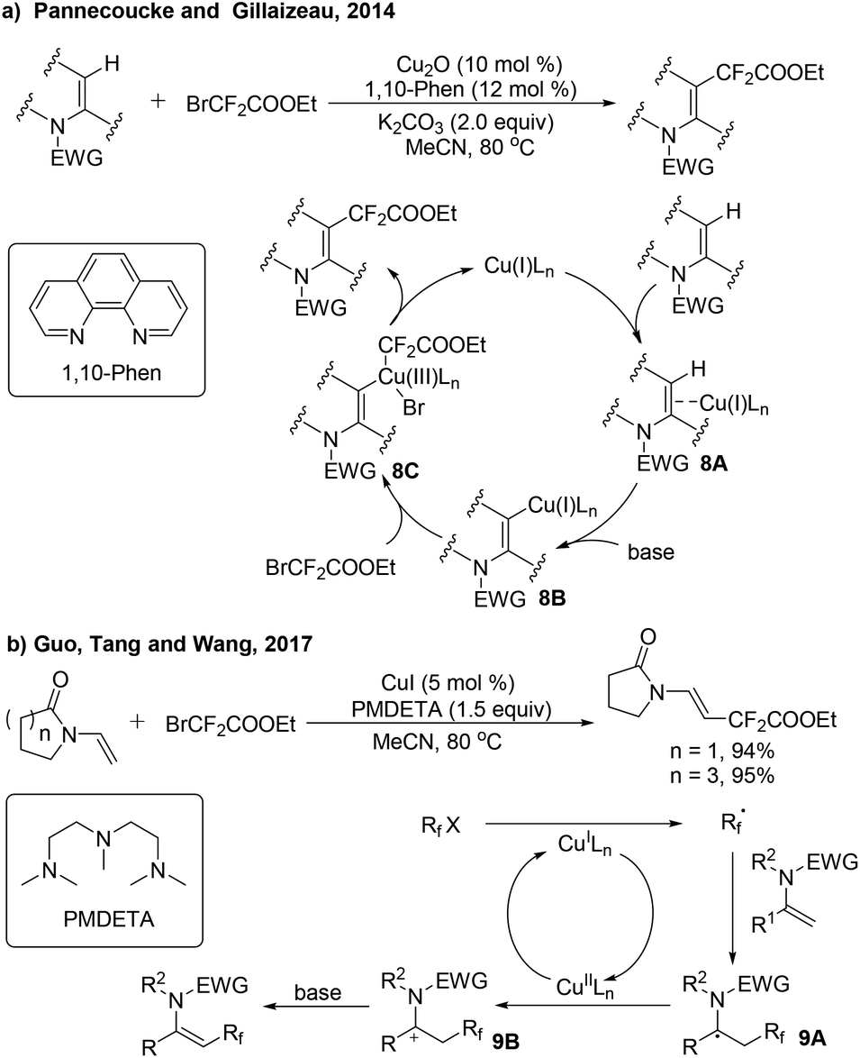 Recent Advances In The Direct B C Sp2 H Functionalization Of Enamides Organic Biomolecular Chemistry Rsc Publishing
