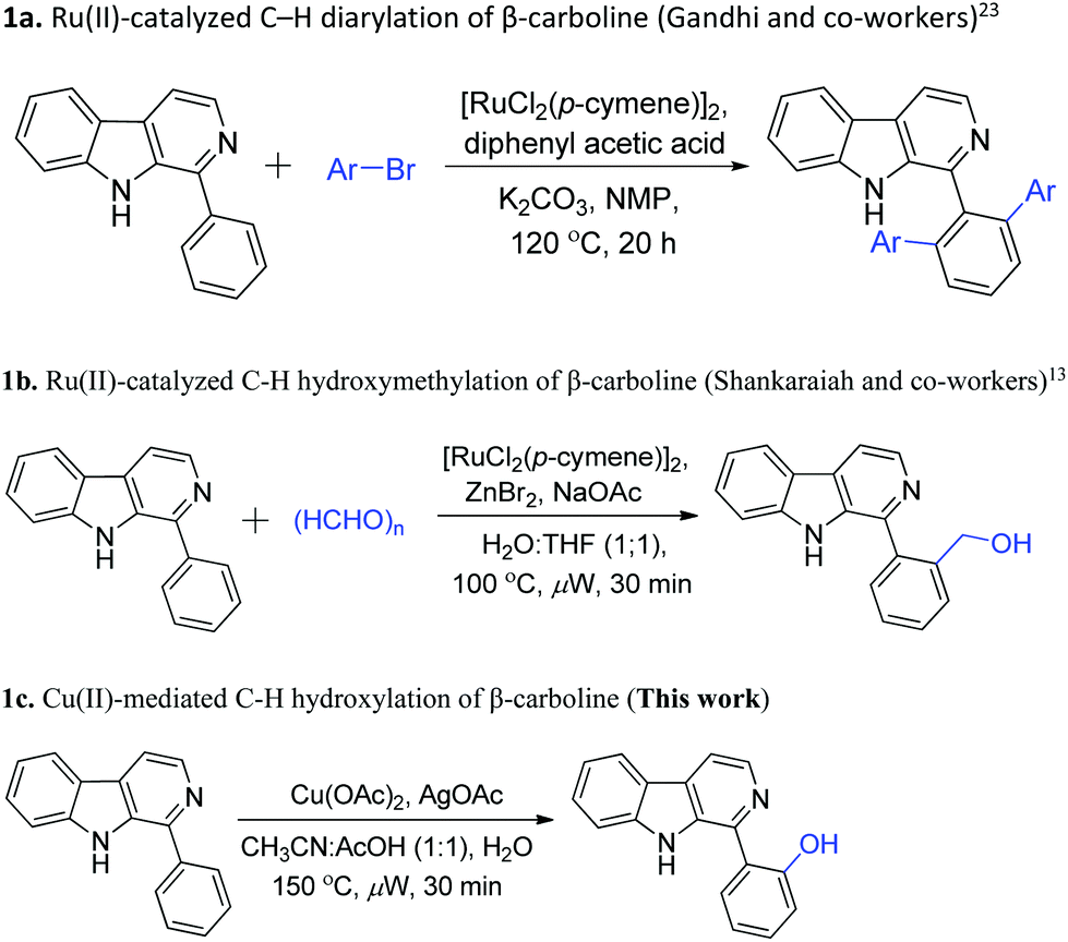 B Carboline Directed Regioselective Hydroxylation By Employing Cu Oac 2 And Mechanistic Investigation By Esi Ms Organic Biomolecular Chemistry Rsc Publishing