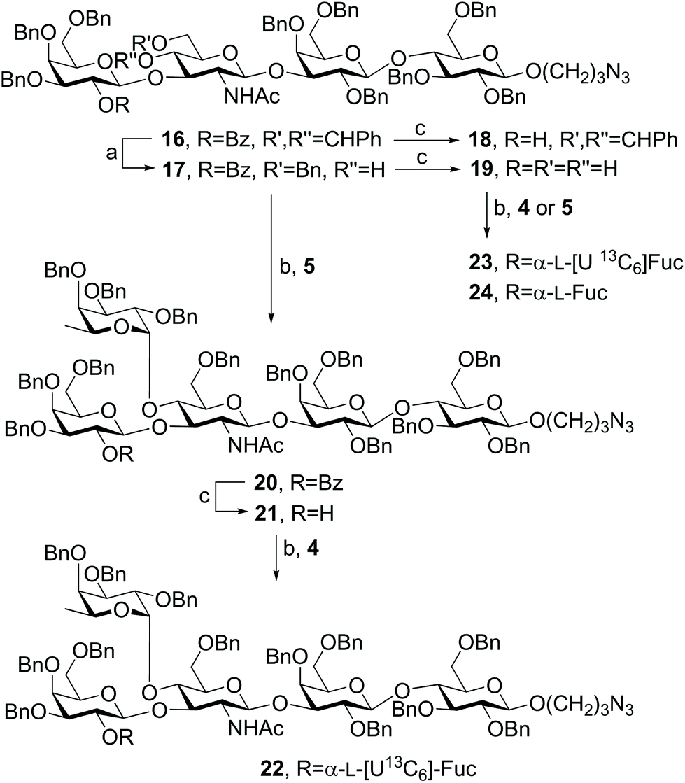 Synthesis Of Type 1 Lewis B Hexasaccharide Antigen Structures Featuring Flexible Incorporation Of L U 13c6 Fucose For Nmr Binding Studies Organic Biomolecular Chemistry Rsc Publishing