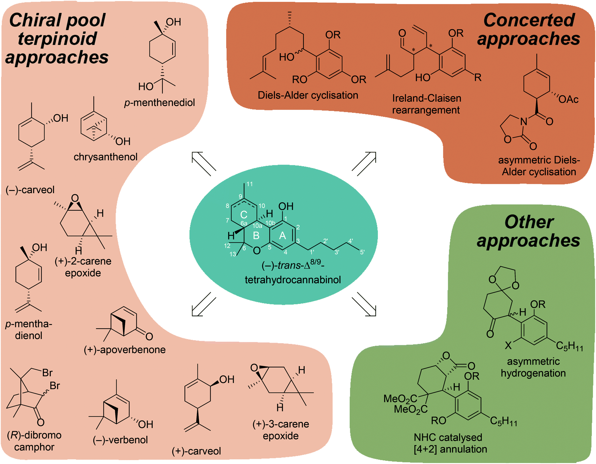 Synthetic Pathways To Tetrahydrocannabinol (THC): An Overview - Organic ...