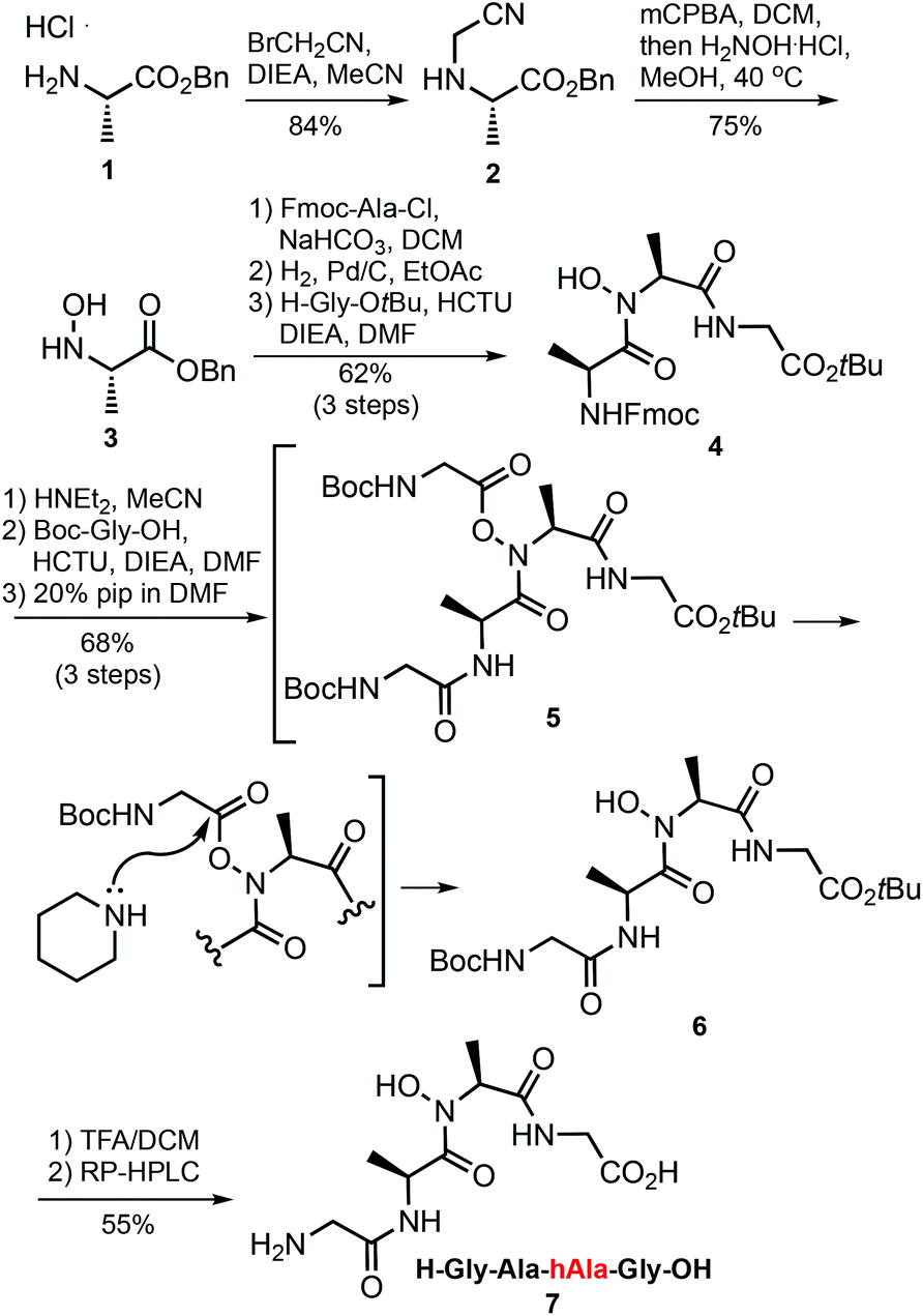 N Hydroxy Peptides Solid Phase Synthesis And B Sheet Propensity Organic Biomolecular Chemistry Rsc Publishing
