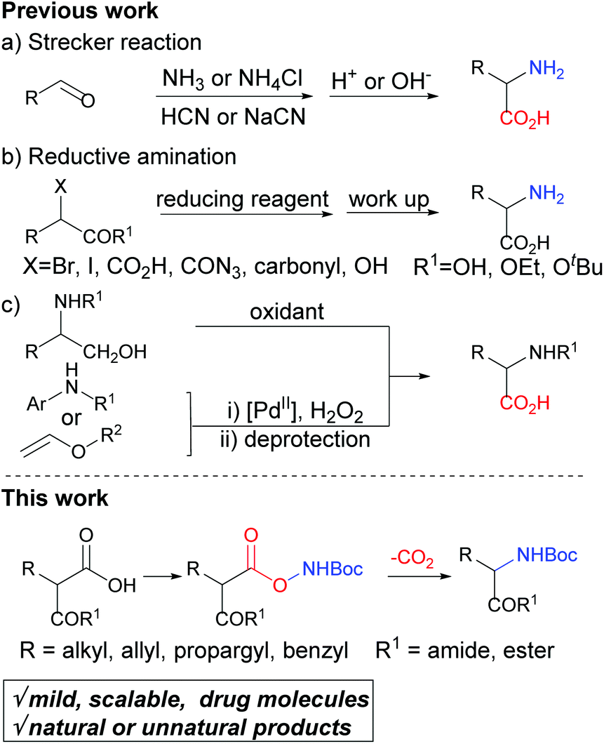 Decarboxylation Of Amino Acids Example