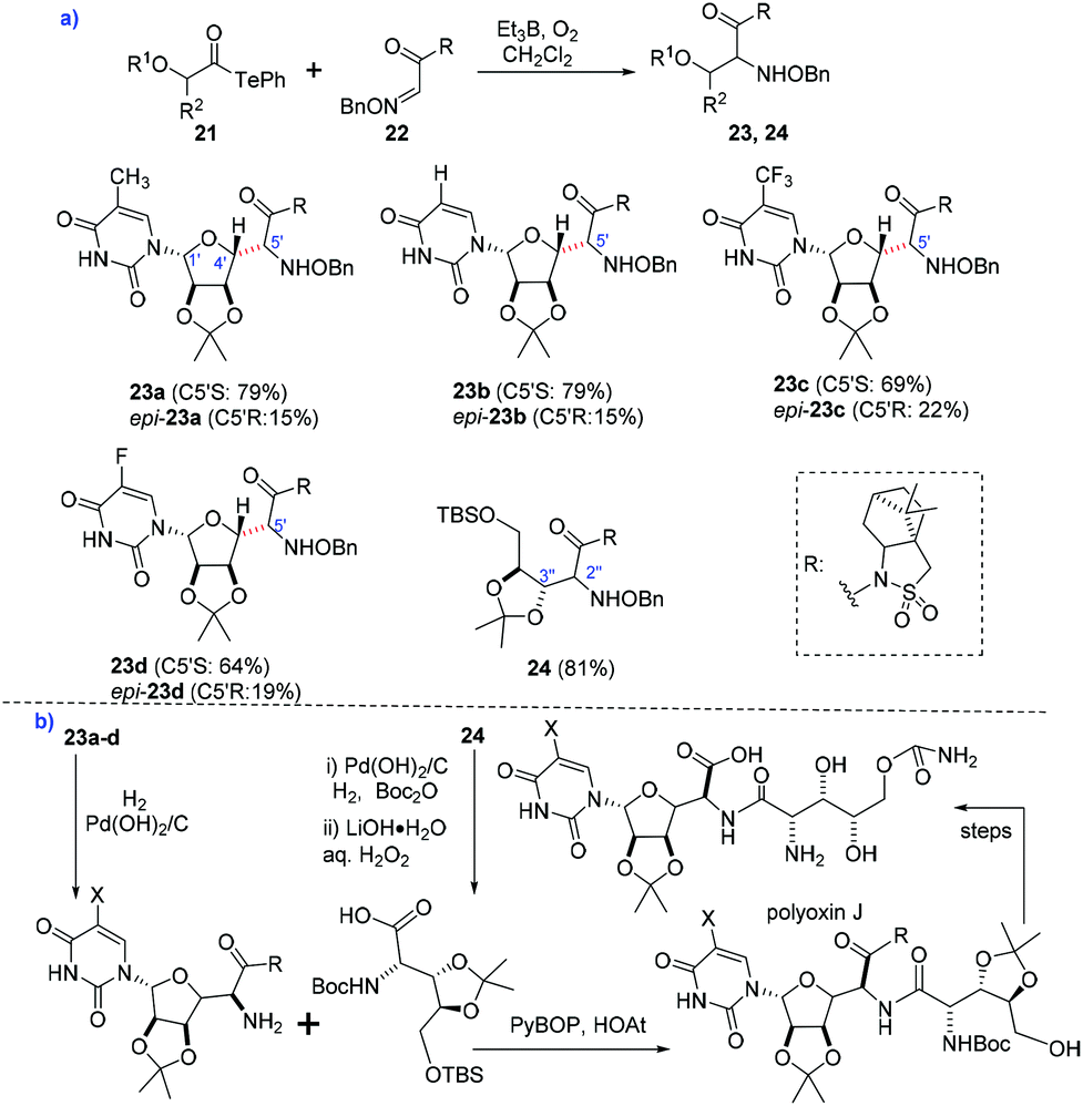 Recent Development In The Synthesis Of C Glycosides Involving Glycosyl Radicals Organic Biomolecular Chemistry Rsc Publishing