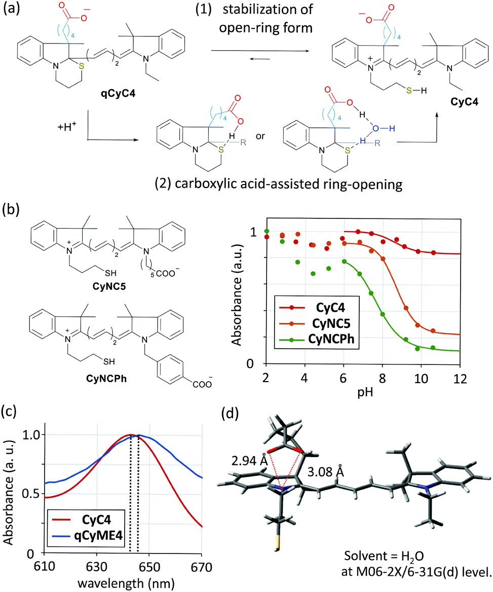 An Enzyme Triggered Turn On Fluorescent Probe Based On Carboxylate Induced Detachment Of A Fluorescence Quencher Organic Biomolecular Chemistry Rsc Publishing