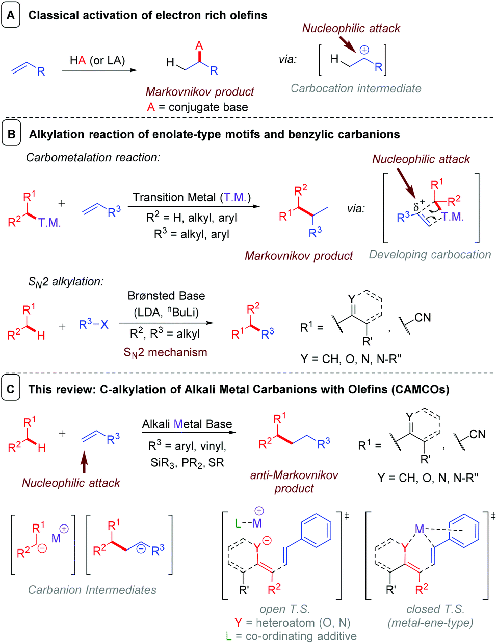 C Alkylation Of Alkali Metal Carbanions With Olefins Organic Biomolecular Chemistry Rsc Publishing