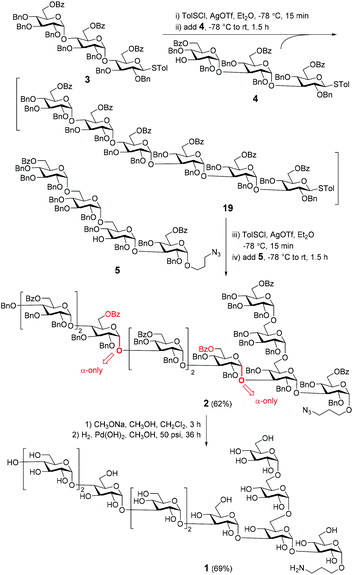 Stereoselective Synthesis Of A Branched A Decaglucan Organic Biomolecular Chemistry Rsc Publishing