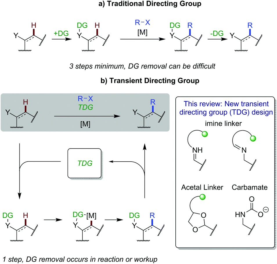 Transient Imine Directing Groups For The Ch Functionalisation Of