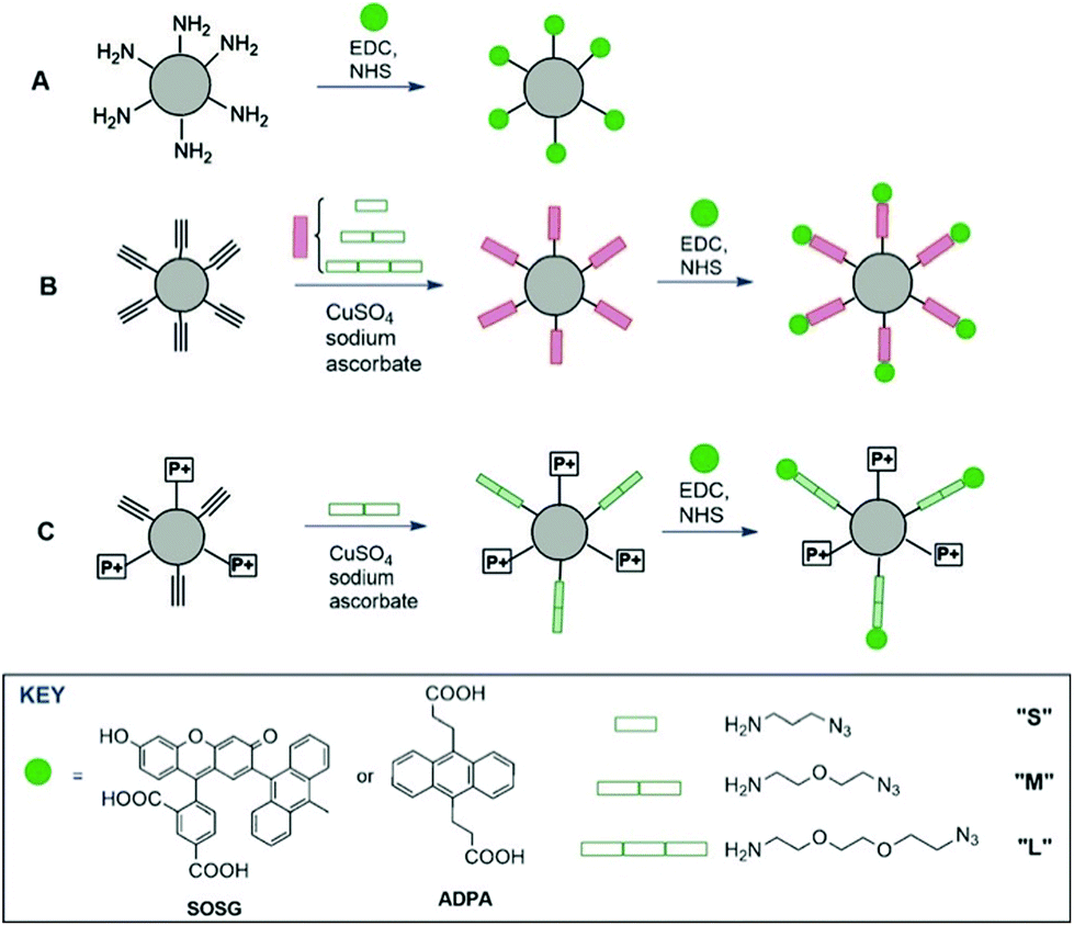 Acenes Beyond Organic Electronics Sensing Of Singlet Oxygen And Stimuli Responsive Materials Organic Biomolecular Chemistry Rsc Publishing