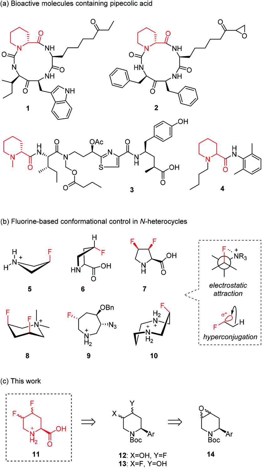 Diastereoselective Synthesis And Conformational Analysis Of 4 5 Difluoropipecolic Acids Organic Biomolecular Chemistry Rsc Publishing