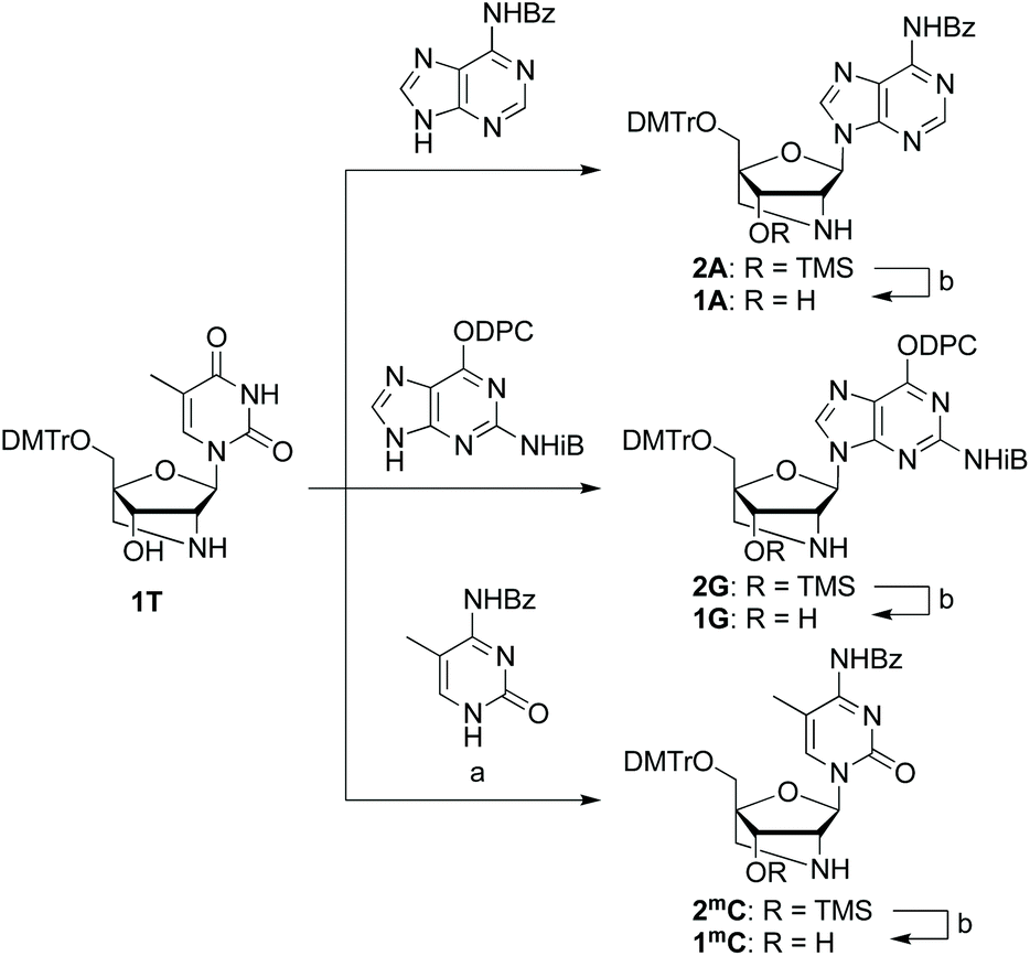 Synthesis And Properties Of Guna Purine Pyrimidine Nucleosides And Oligonucleotides Organic Biomolecular Chemistry Rsc Publishing