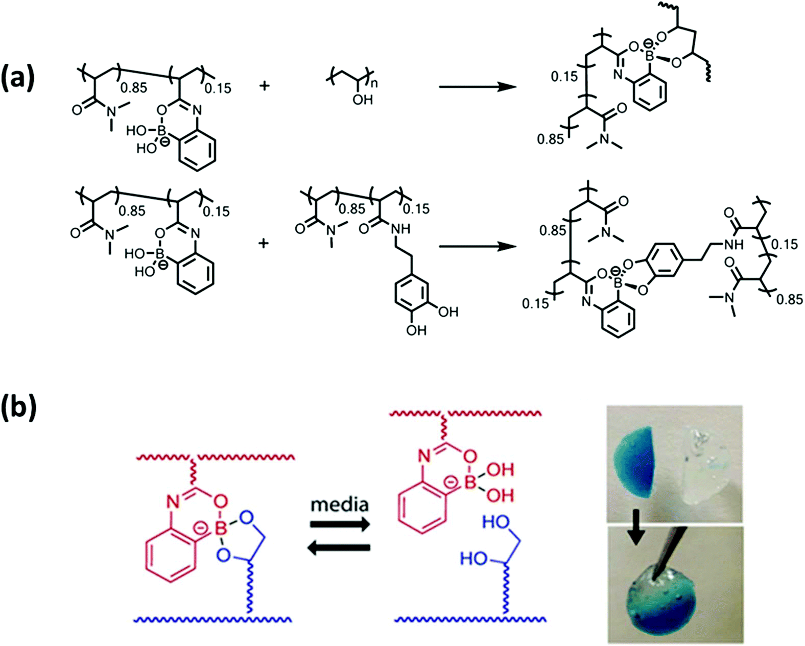 Dynamic Covalent Bonds In Self Healing Shape Memory And Controllable Stiffness Hydrogels Polymer Chemistry Rsc Publishing